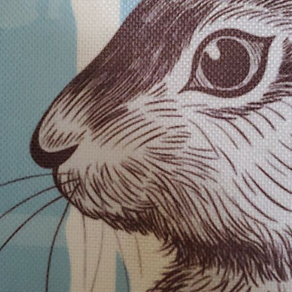 🐰 Bunny in Cottontail - Picture 4 of 4